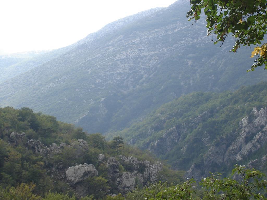 Holiday Home Paklenica 斯塔利格拉德-帕克利尼卡 客房 照片