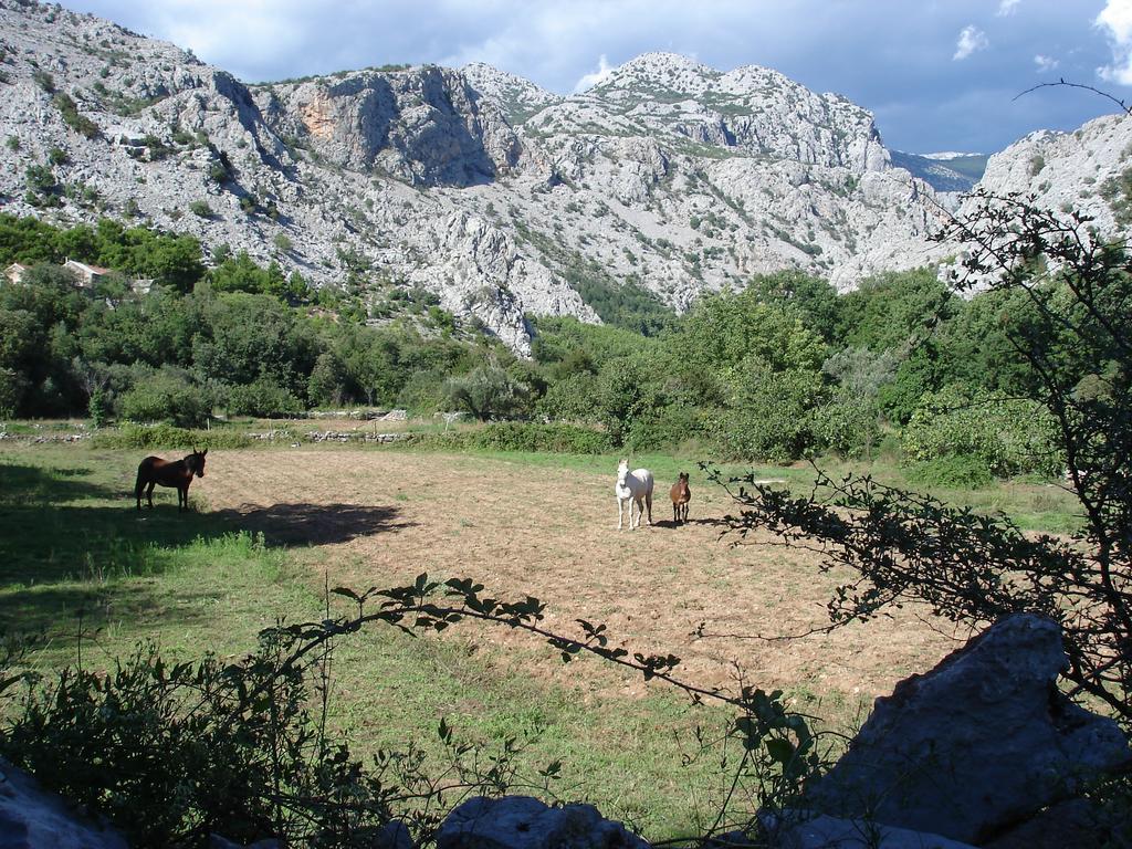 Holiday Home Paklenica 斯塔利格拉德-帕克利尼卡 客房 照片