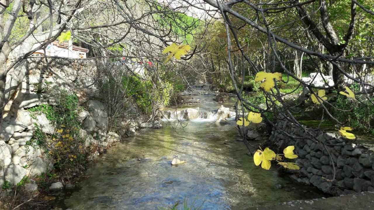 Holiday Home Paklenica 斯塔利格拉德-帕克利尼卡 外观 照片