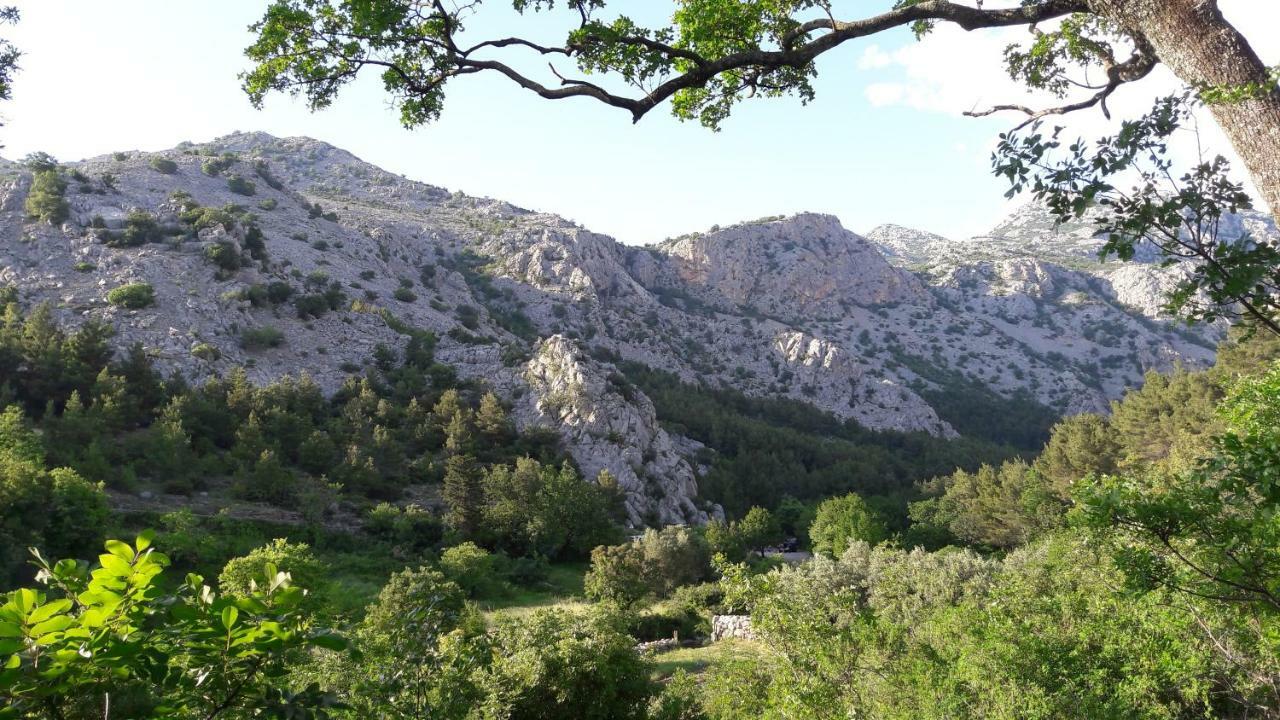 Holiday Home Paklenica 斯塔利格拉德-帕克利尼卡 外观 照片