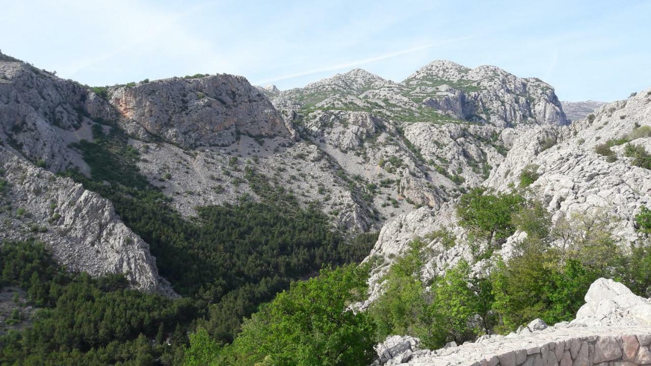 Holiday Home Paklenica 斯塔利格拉德-帕克利尼卡 外观 照片